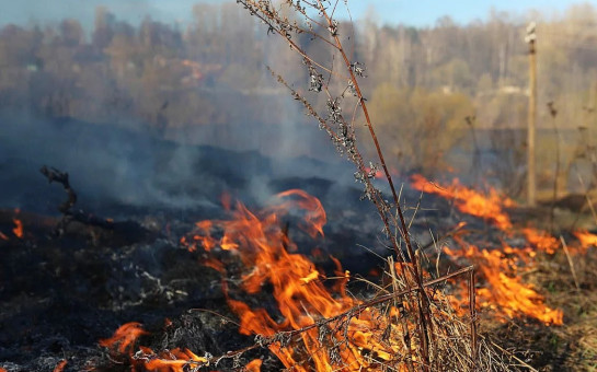 Пожароопасный сезон открыт в Новосибирской области
