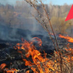 Искусственный интеллект следит за пожарной безопасностью в Новосибирской области