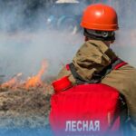 Особый противопожарный режим введён в Новосибирской области