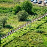 Путешествие по Новосибири: откройте природу Маслянино