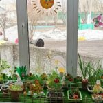 Лучший огород на окне выбрали в детском саду «Светлячок»