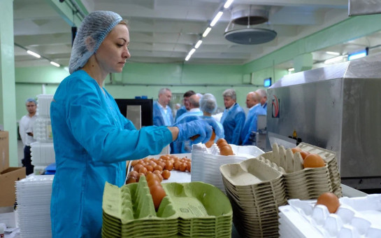 В регионе потребность населения в куриных яйцах обеспечена на 124%