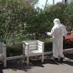 Территорию детского дома обработали от клещей