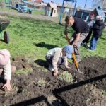 Березы и цветы посадили в честь Героя СССР в детском саду «Ивушка»