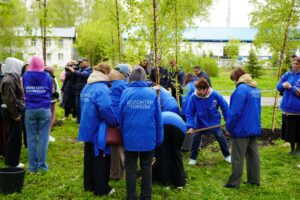 «Сад памяти» высадили новосибирцы в сквере Героев Донбасса