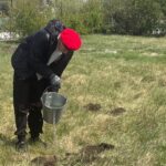 Юнармейцы из Новокрасного высадили сирень у мемориала