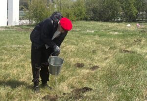 Юнармейцы из Новокрасного высадили сирень у мемориала