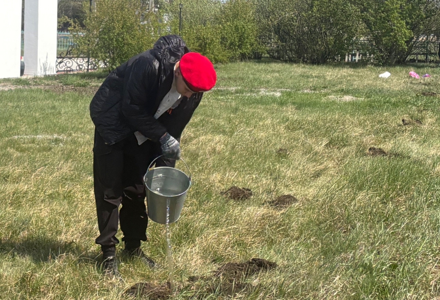 Юнармейцы из Новокрасного высадили сирень у мемориала