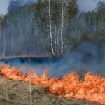 Губернатор поручил усилить профилактическую работу по предупреждению пожаров