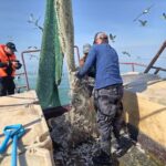 Объемы зарыбления водоемов увеличили в Новосибирской области