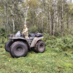 Патрулирование лесов Новосибирска усилено из-за активности медведей