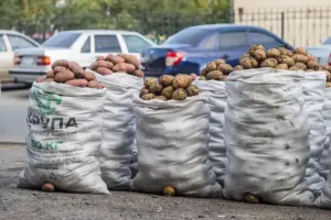 Много мелочи: свежая картошка на новосибирских рынках подорожала на 30%