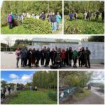 В Чистоозерном прошел осенний субботник