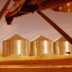 Новосибирская область наращивает экспорт продукции АПК