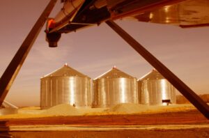 Новосибирская область наращивает экспорт продукции АПК
