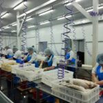 Больше рыбы поставит в Китай новосибирское предприятие благодаря нацпроекту