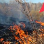 В Новосибирской области пожароопасный сезон 2026 года закрыт