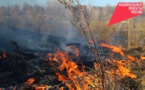 В Новосибирской области пожароопасный сезон 2026 года закрыт